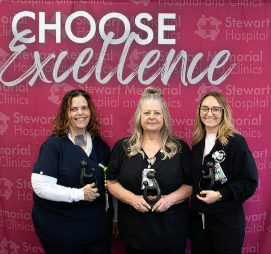 Stewart Memorial Hospital and Clinics celebrates DAISY Award winners, nominees